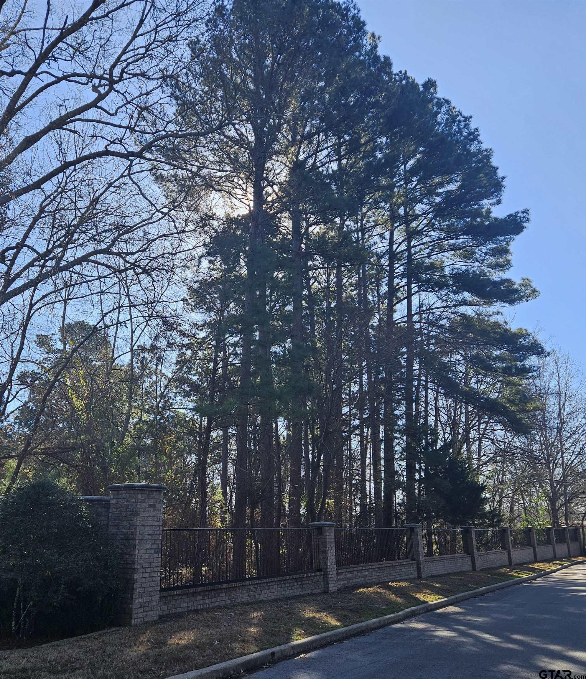 13311 White Tail Drive