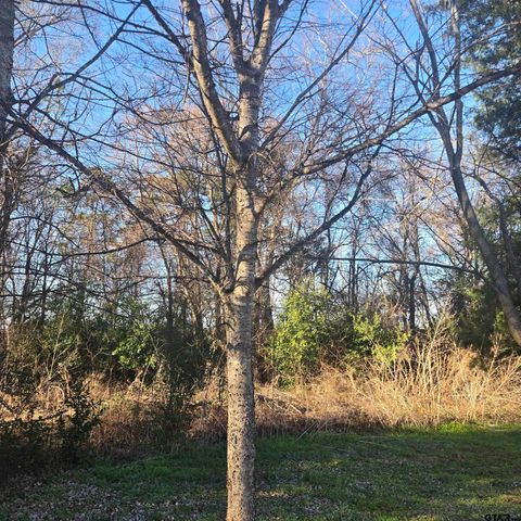 TBD ROLLING WOOD HILLS SUBDIVISION Bullard TX 75757