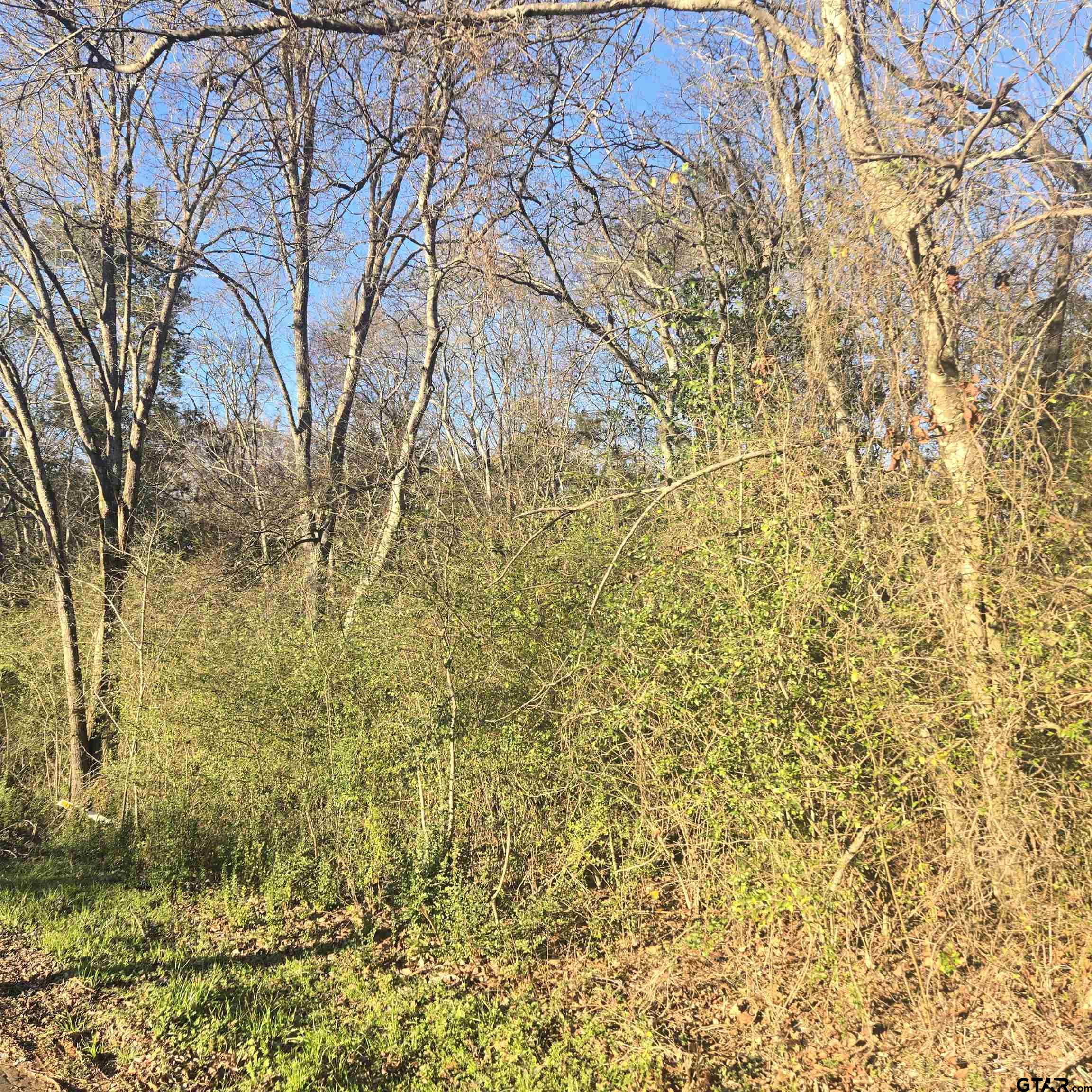 TBD ROLLING WOOD HILLS SUBDIVISION