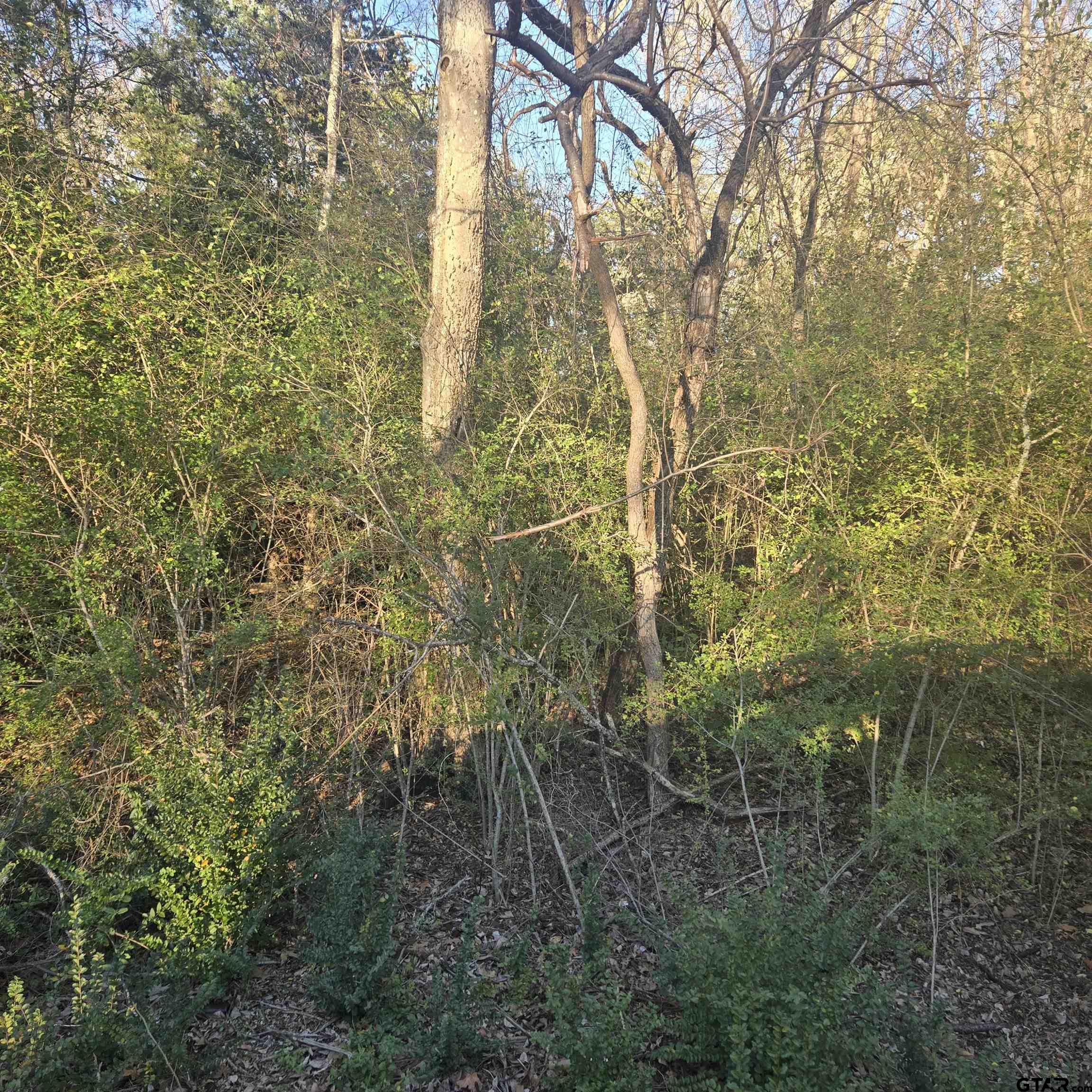 TBD ROLLING WOOD HILLS SUBDIVISION