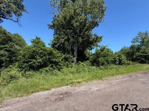 1153 CR 342 Henderson TX 75654