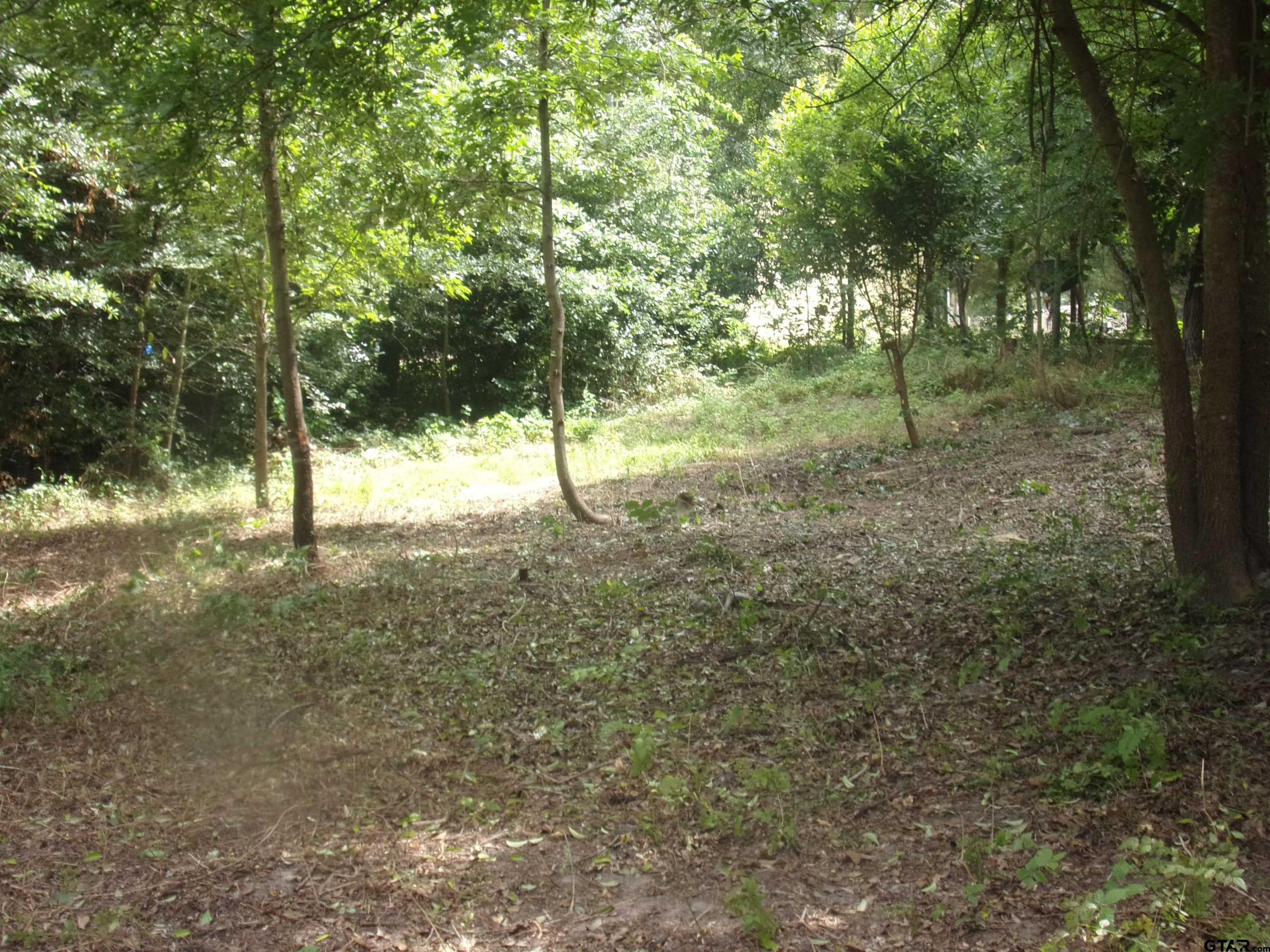 751 Dogwood Trail