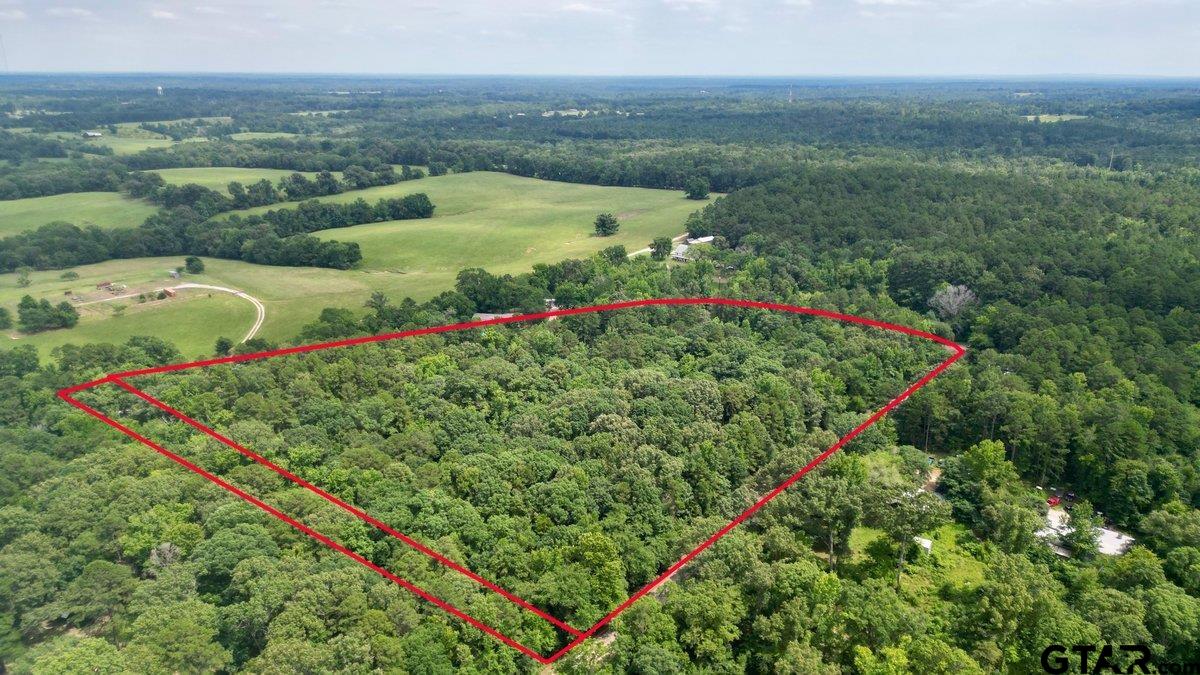 Arp, Texas 75750, United States, ,Land,Pending,55161