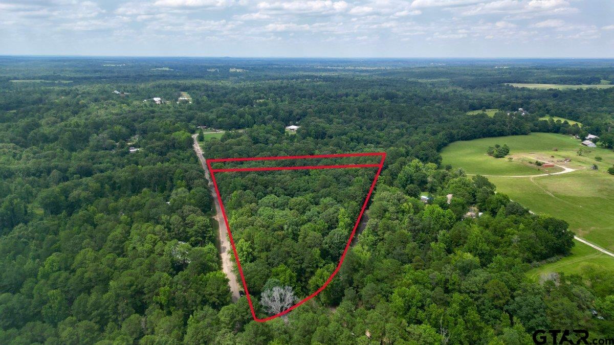 Arp, Texas 75750, United States, ,Land,Pending,55161