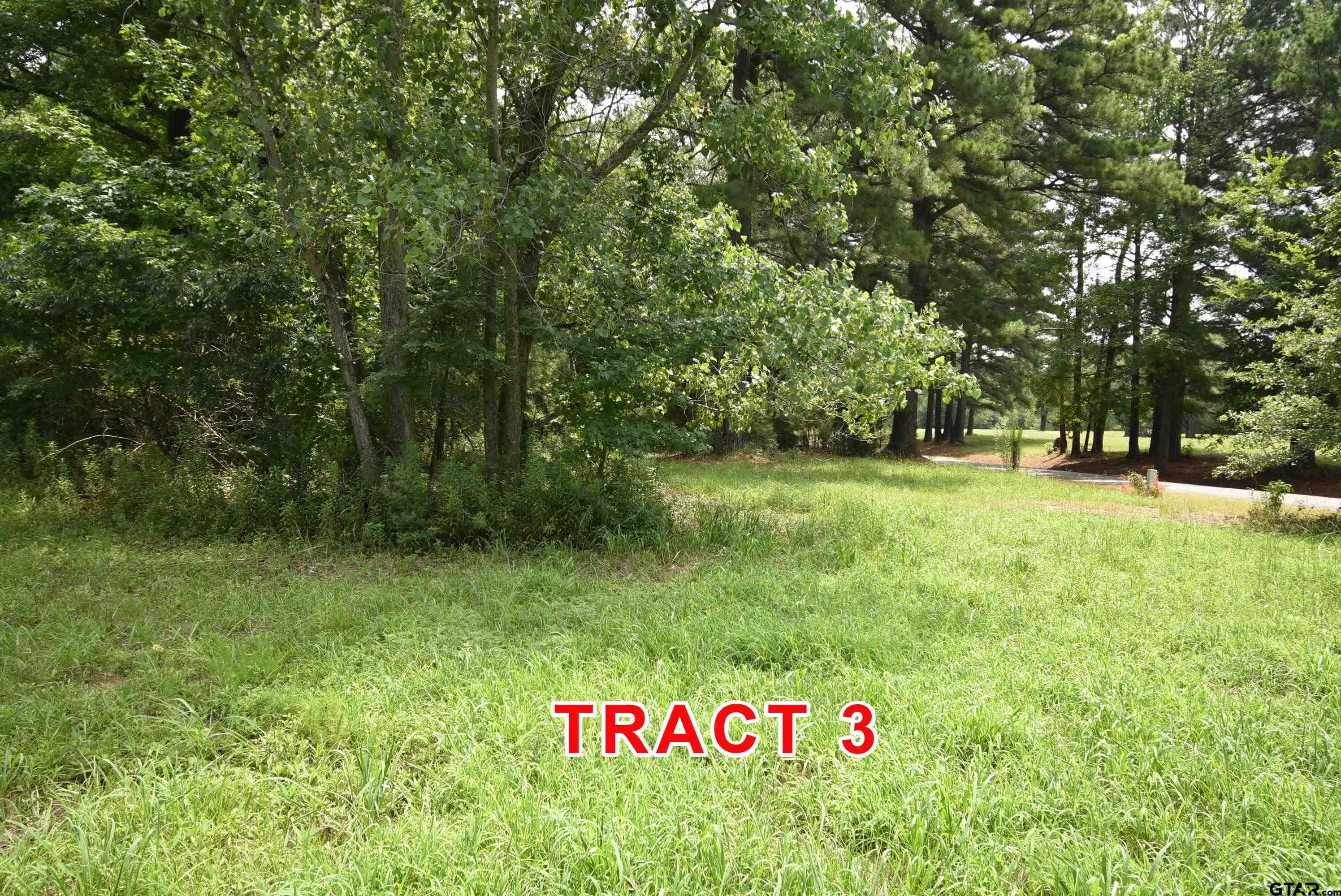 Tract 3 County Road 3117