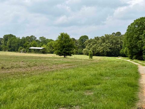 0000 Private Road 7407 Brownsboro TX 75756