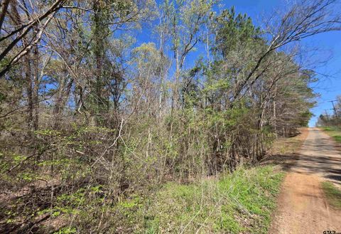 995 Balmorea Dr Bullard TX 75757