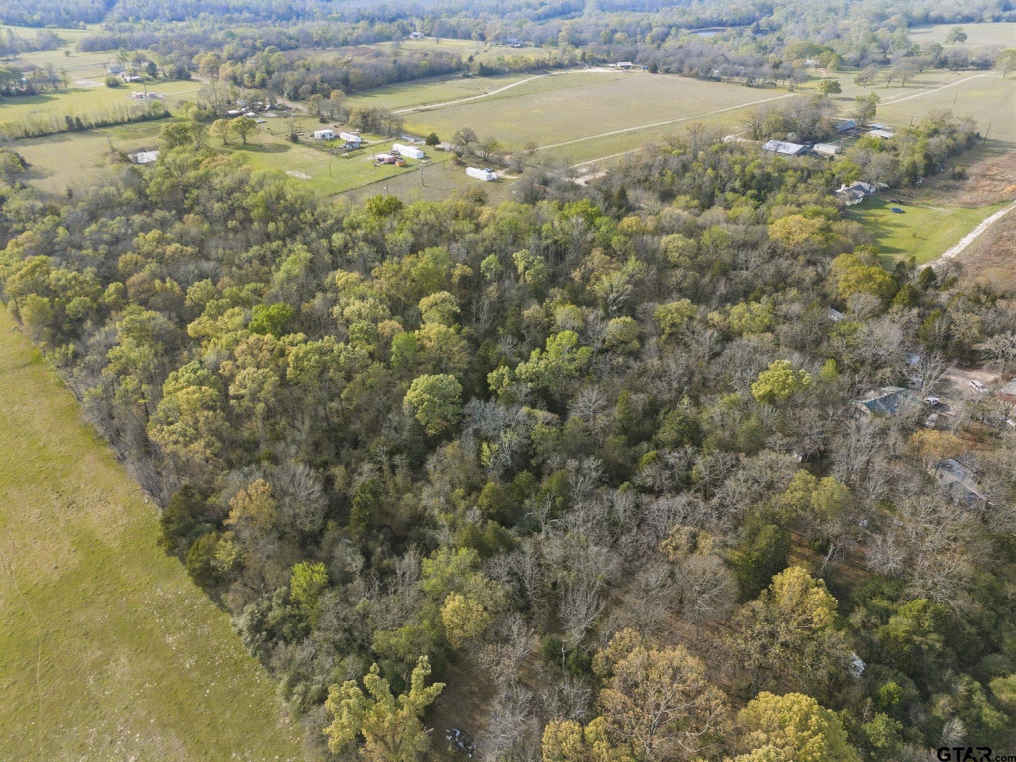 TBD County Road 4610 (Gary Rd)