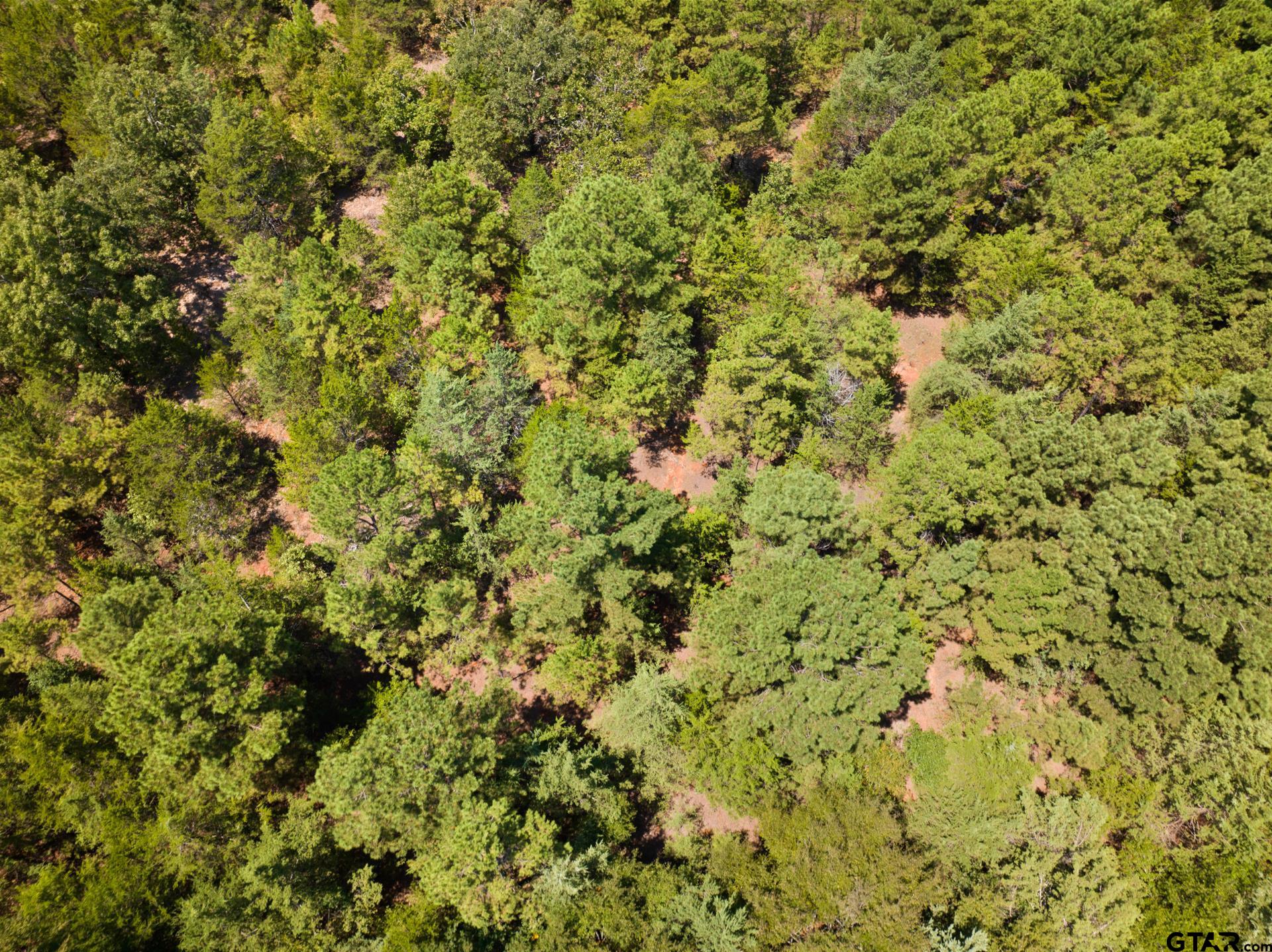 Tract 2 County Road 4710