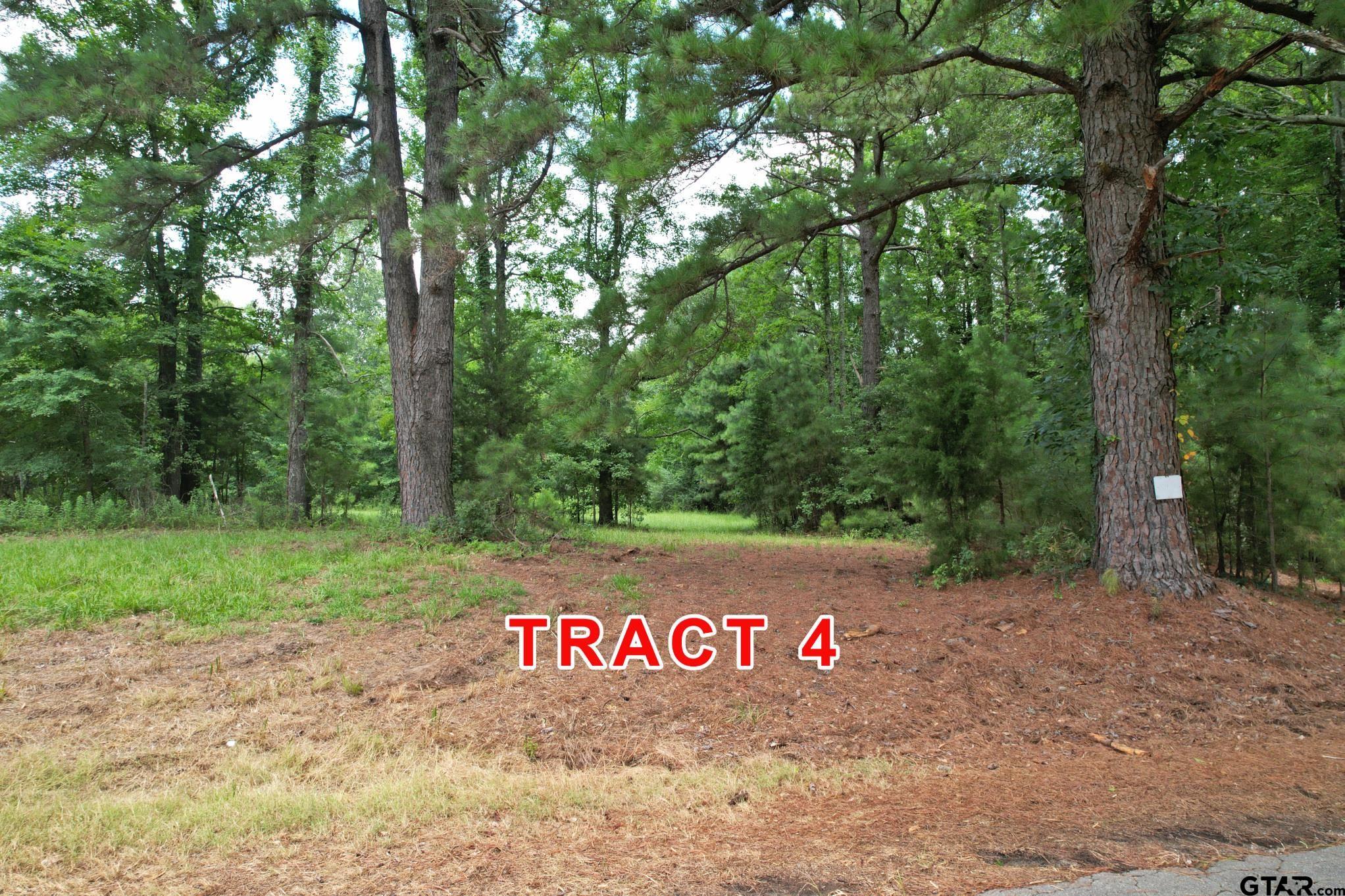 Tract 4 County Road 3117