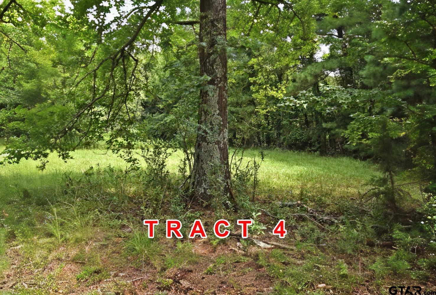 Tract 4 County Road 3117
