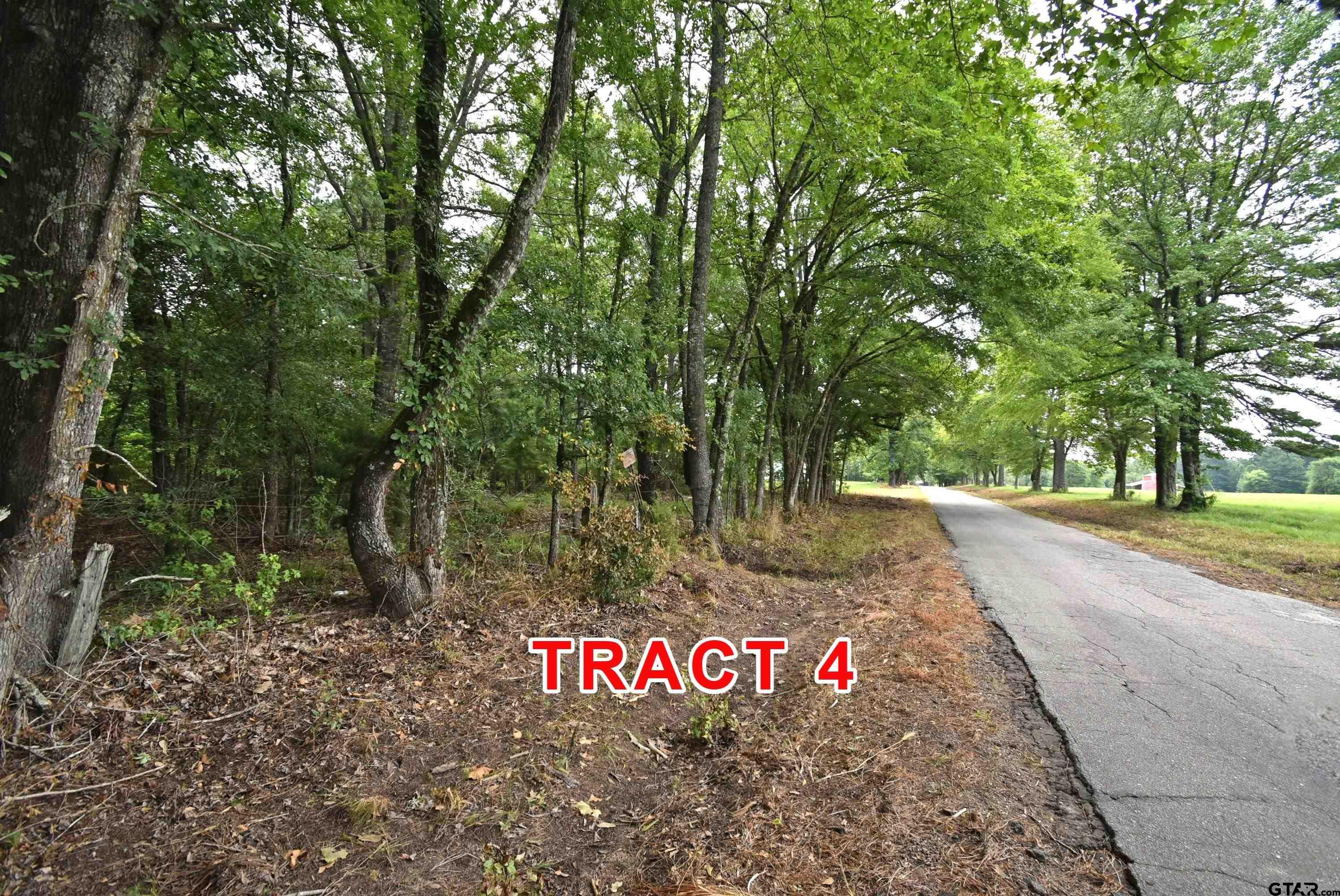 Tract 4 County Road 3117