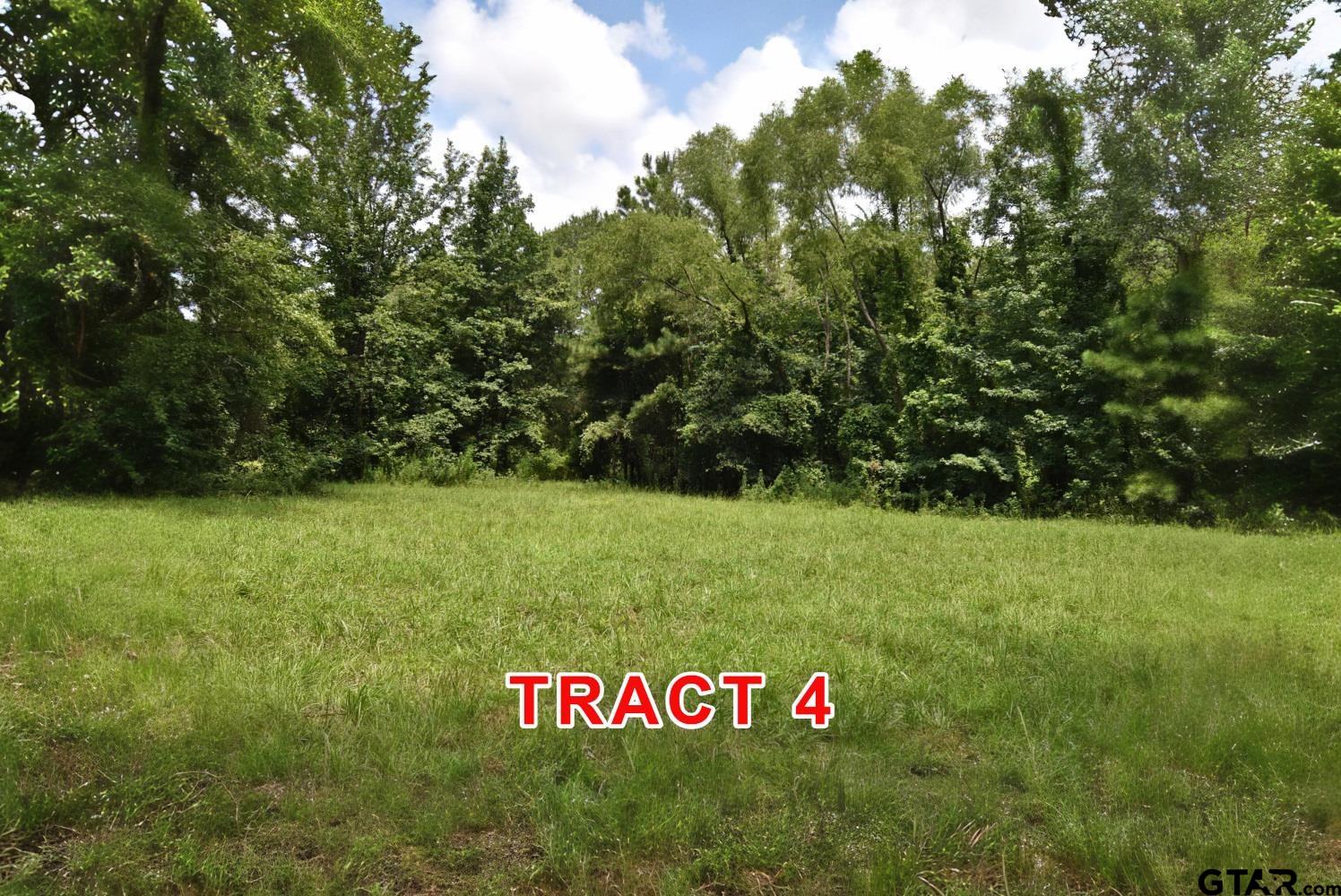 Tract 4 County Road 3117