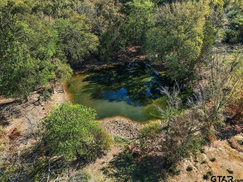 TBD 38.79-acres Alto TX 75925