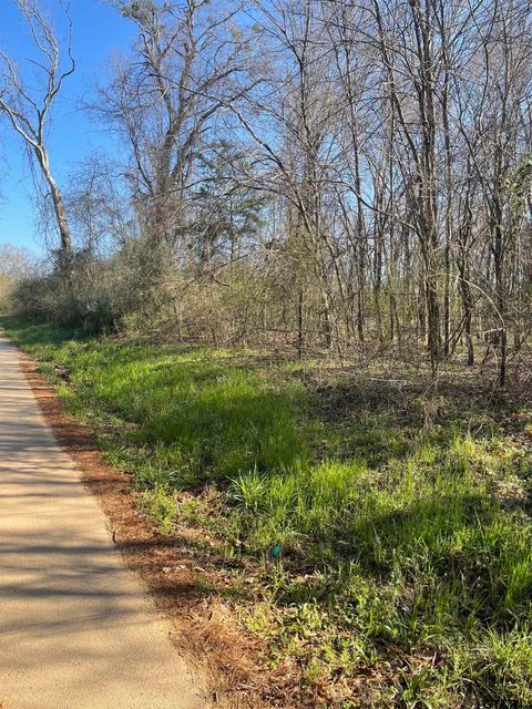 TBD CR 2151 (Tract 1) Troup TX 75789