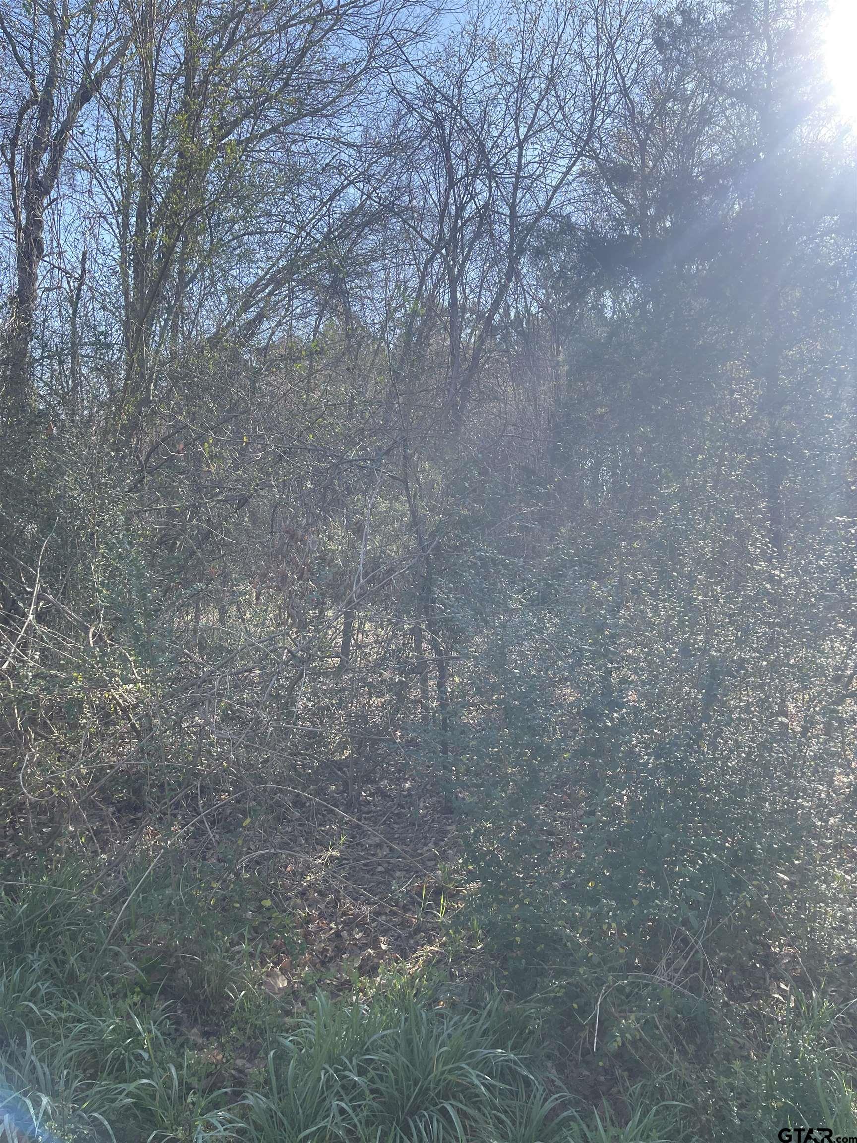 TBD CR 2151 (Tract 1)