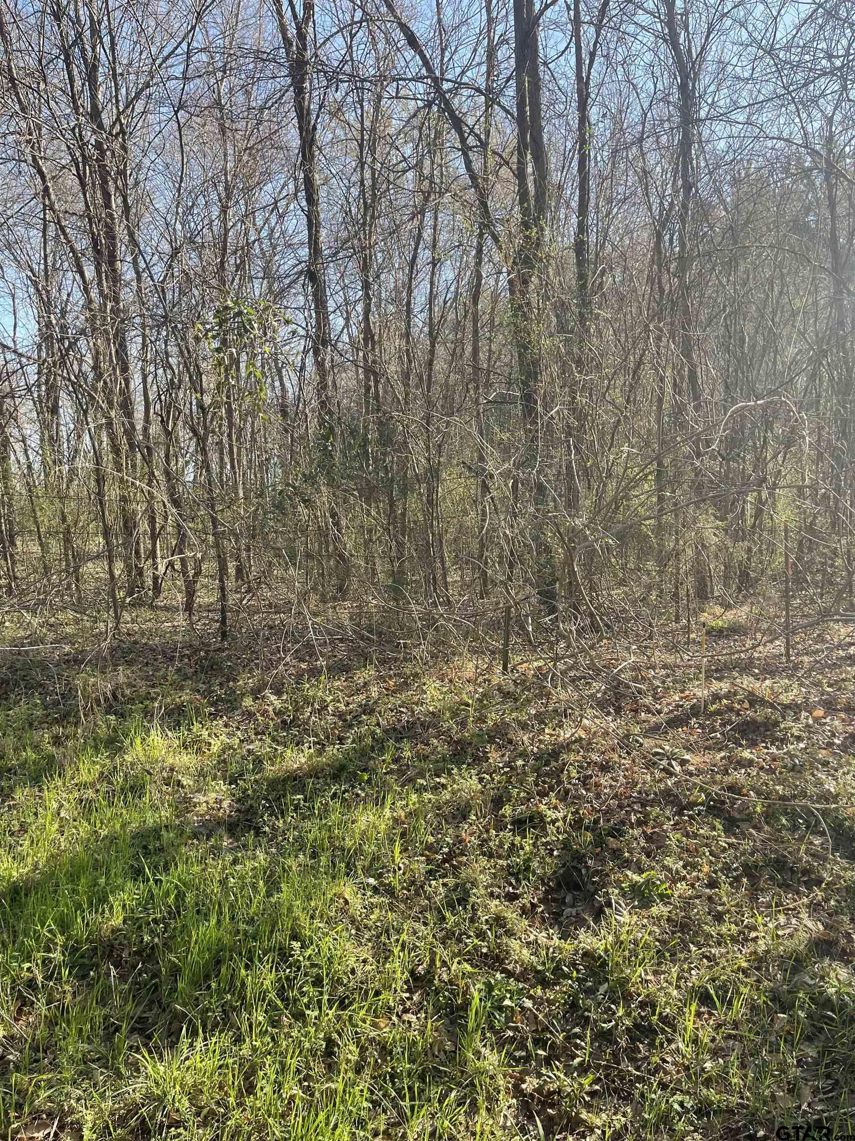 TBD CR 2151 (Tract 1)