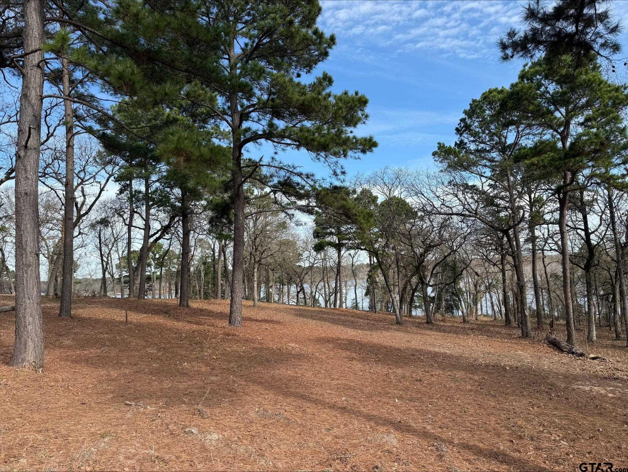 3268 Shadow Pine Dr Lot 61