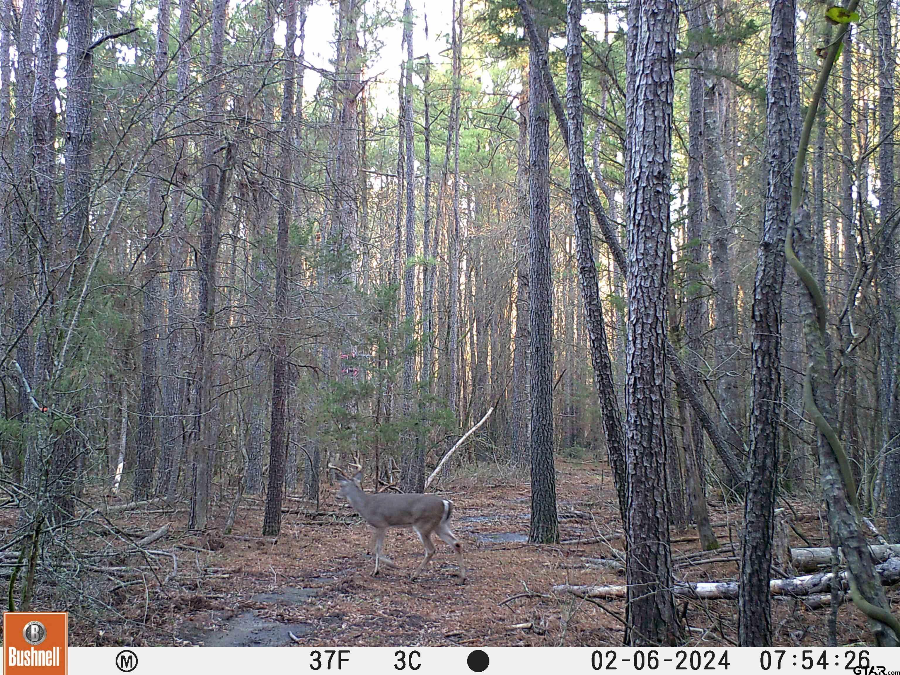 1111 N County Road 3401