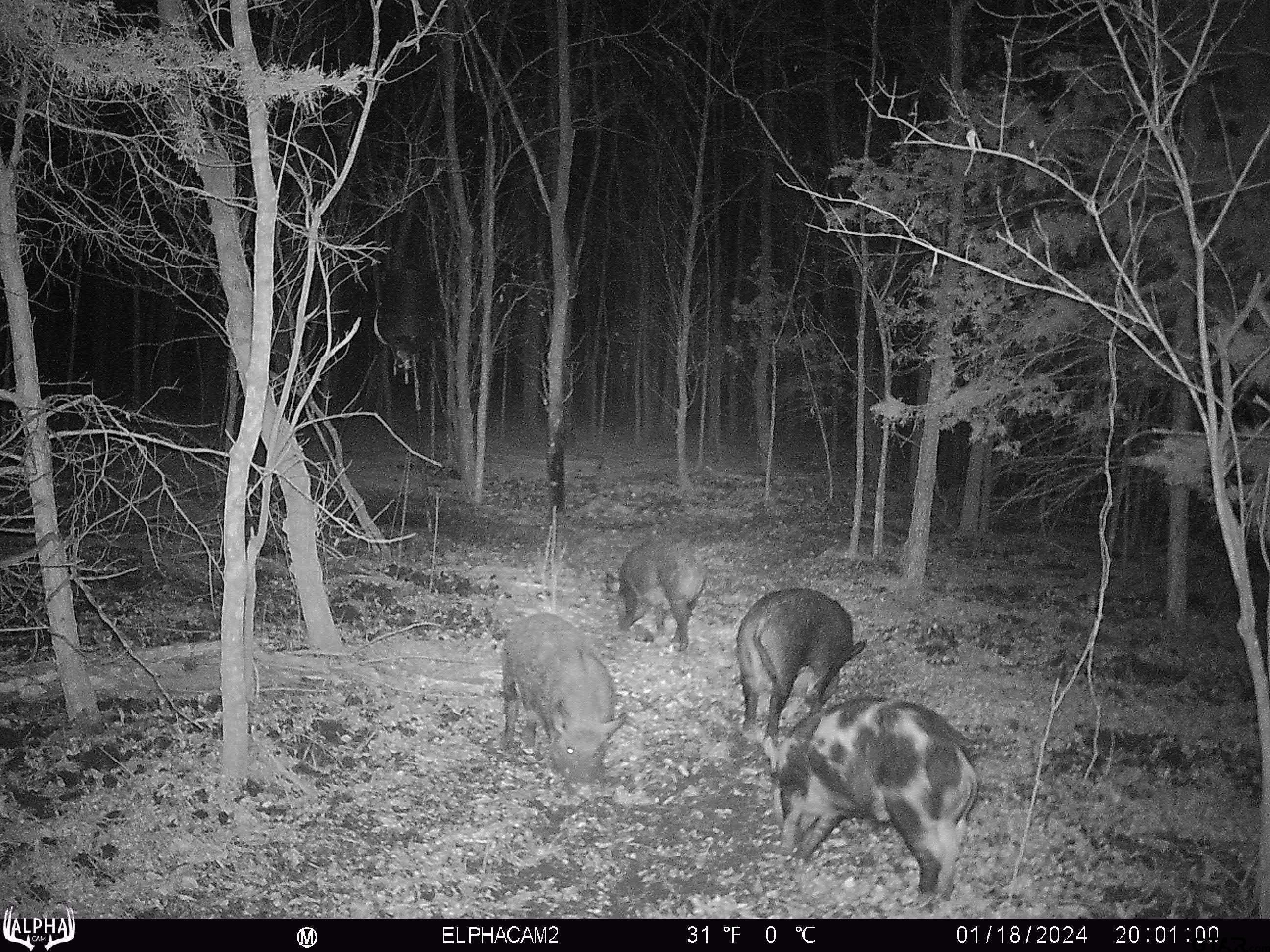 1111 N County Road 3401