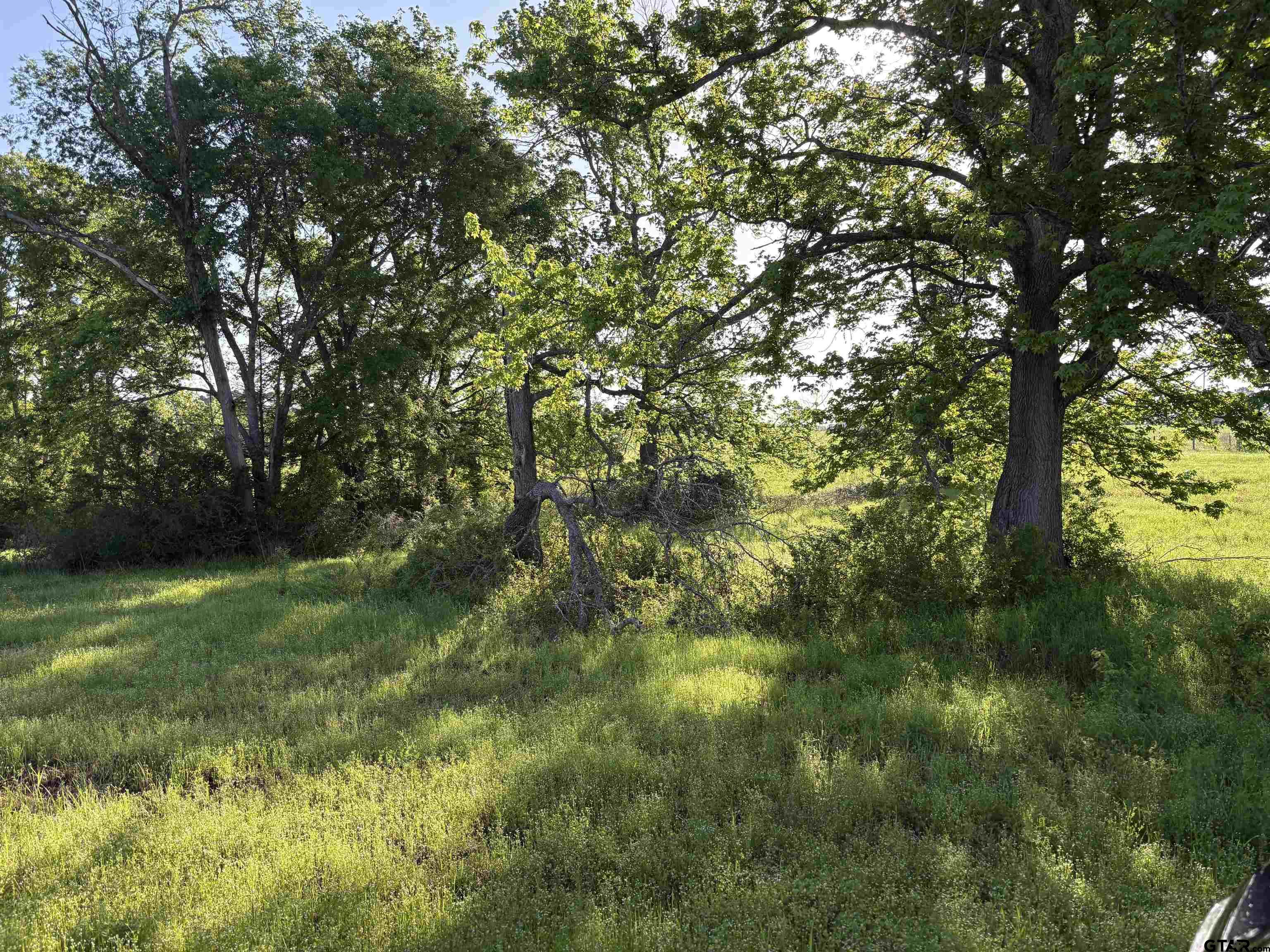 LOT 8 5.5ACRES COUNTY ROAD 2166