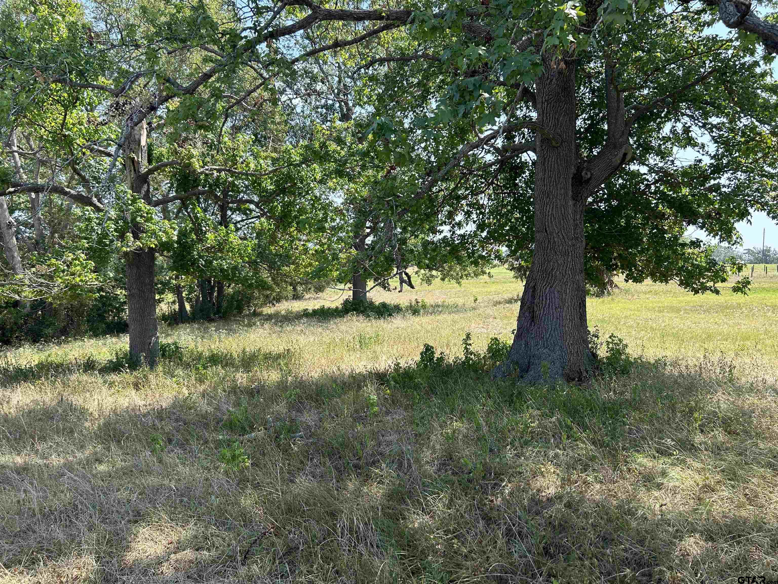 LOT 8 5.5ACRES COUNTY ROAD 2166