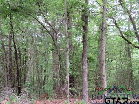 TBD CR 203 Henderson TX 75652