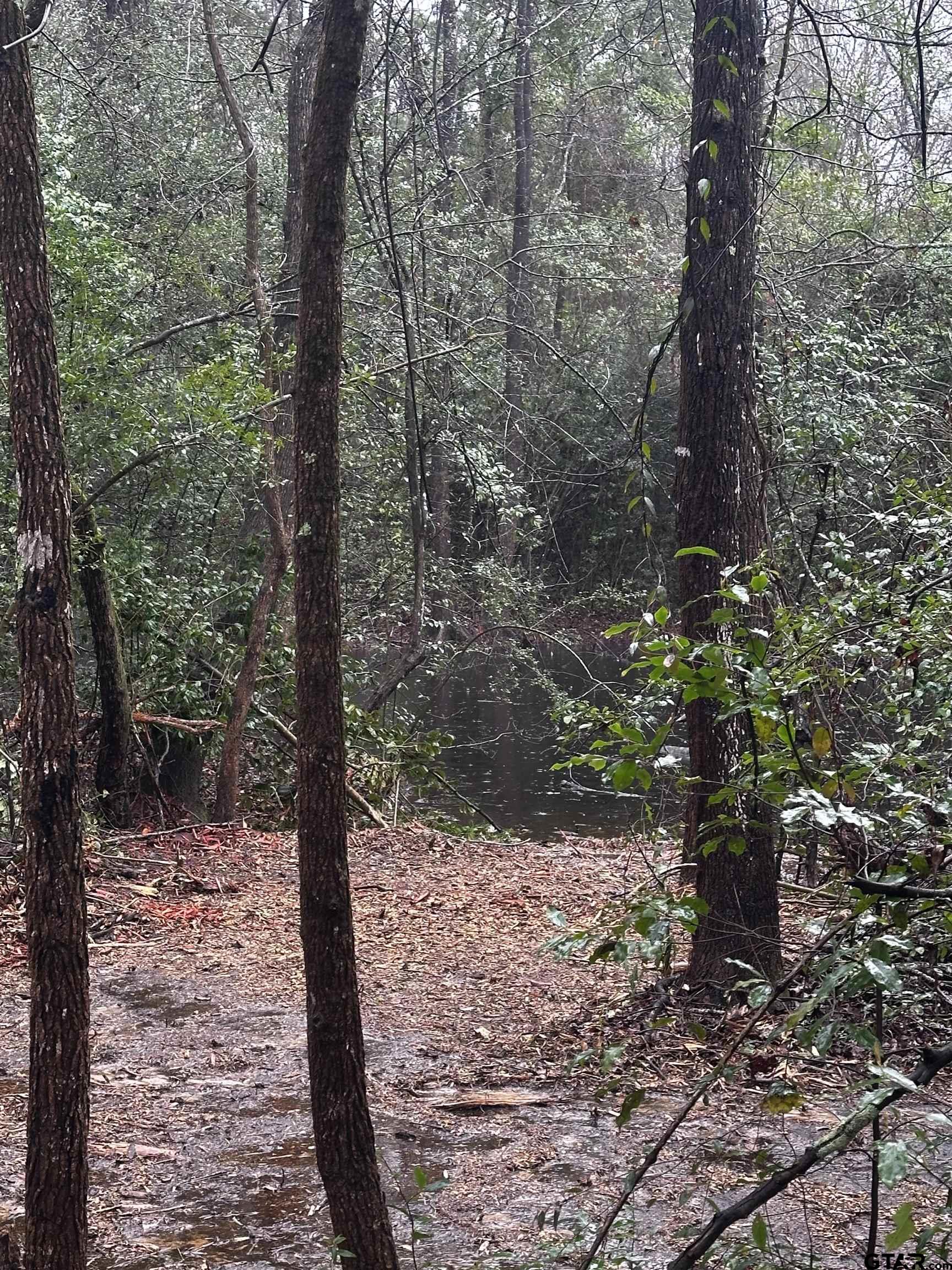 5770 County Road 334