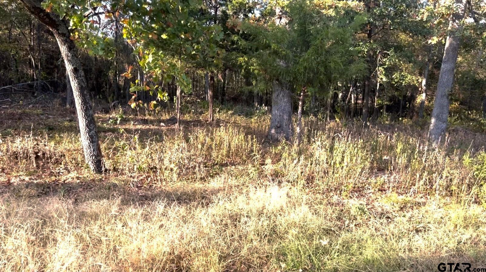 Lot 37 Nicklaus Drive