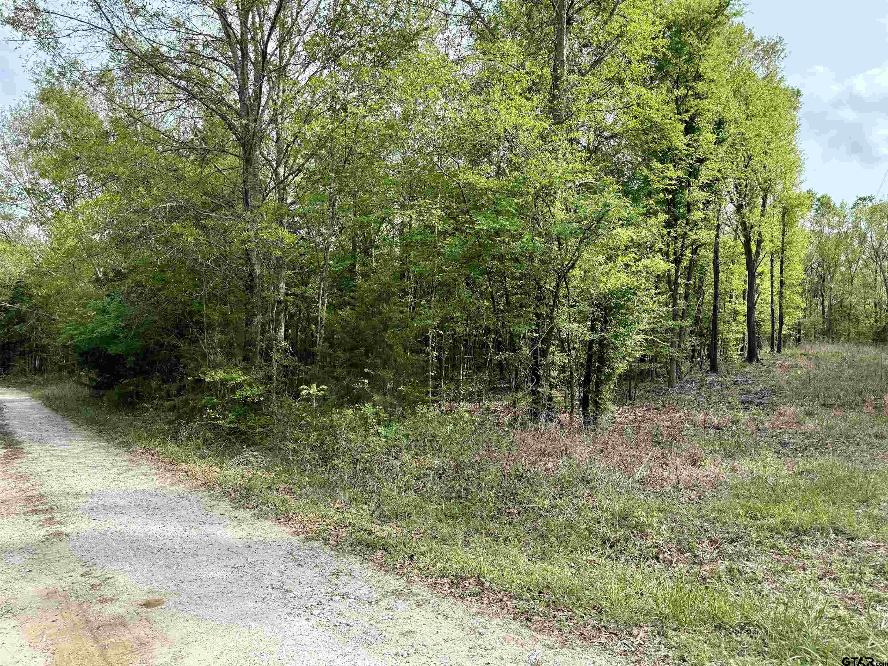 TBD County Road 4131