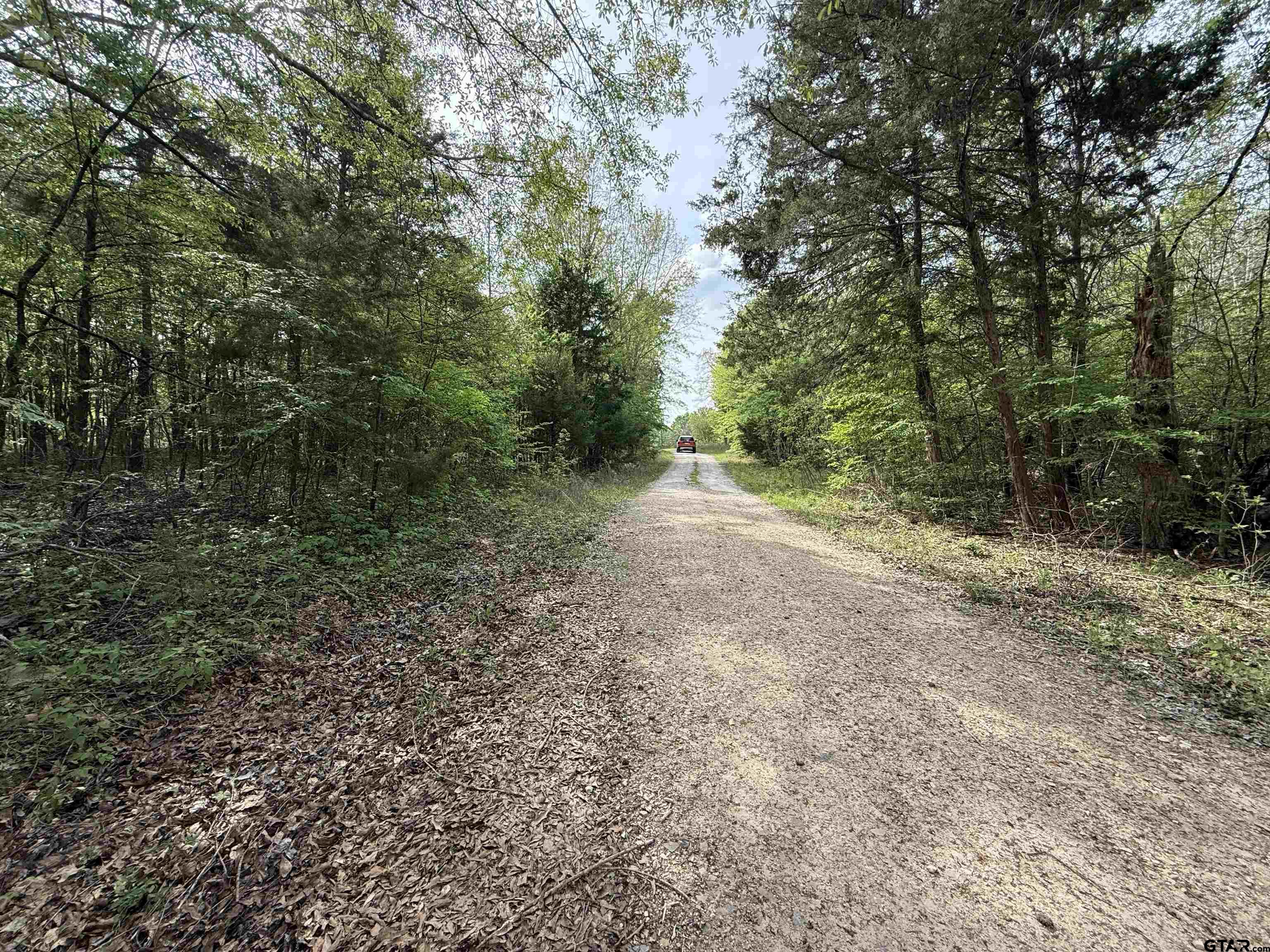 TBD County Road 4131