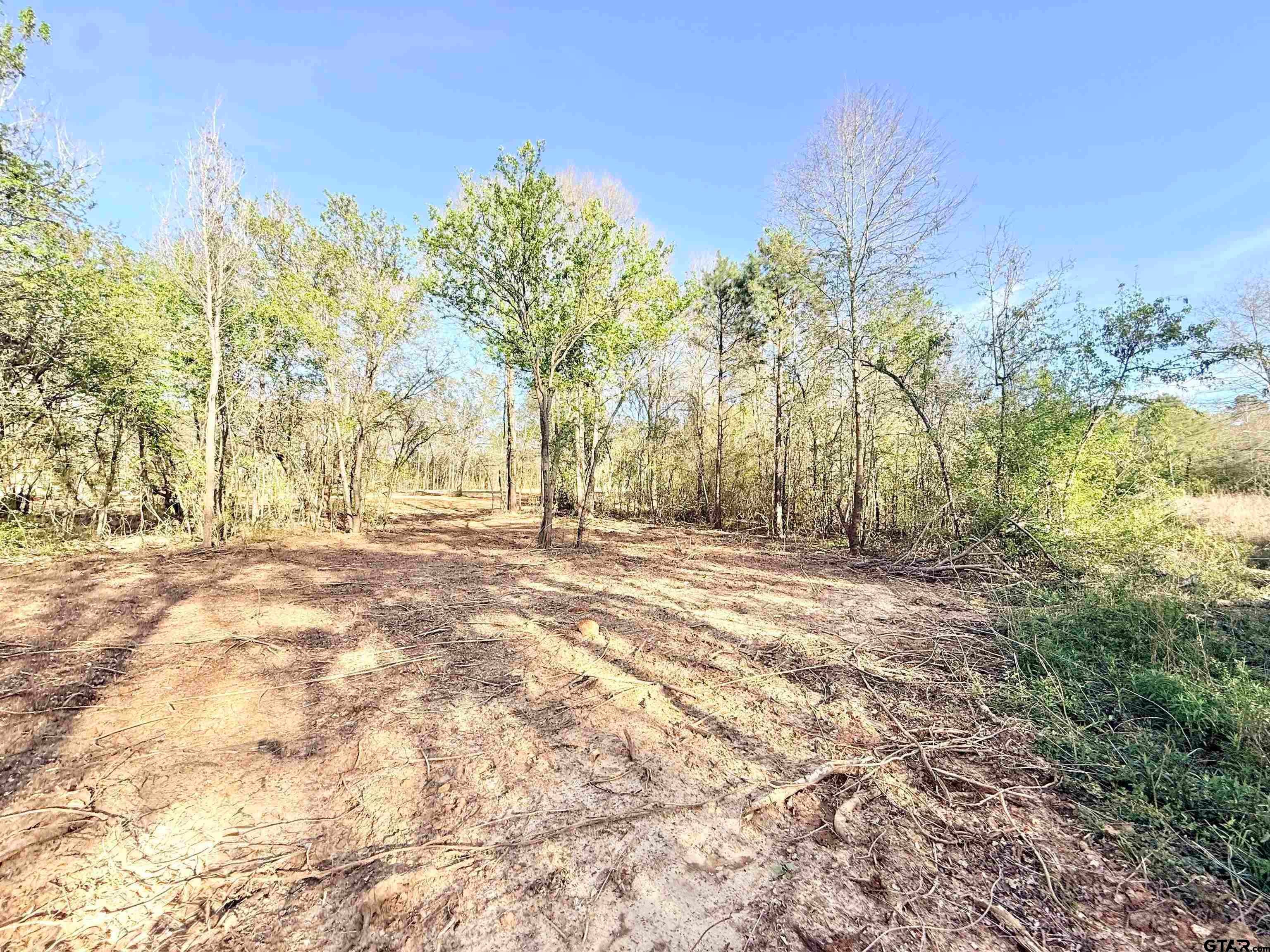 TBD FM 345 Lot 2