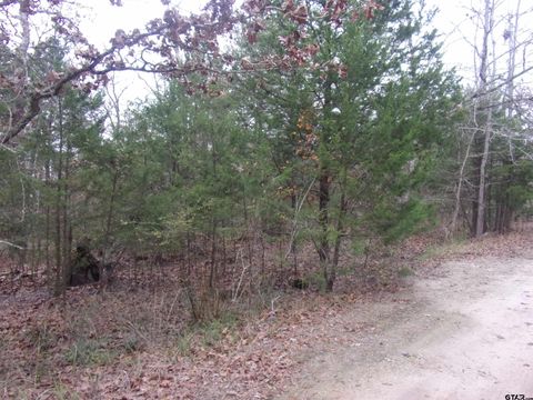 000 Hideaway Murchison TX 75778