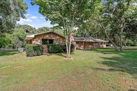 1621 Baseball Loop Diana TX 75640