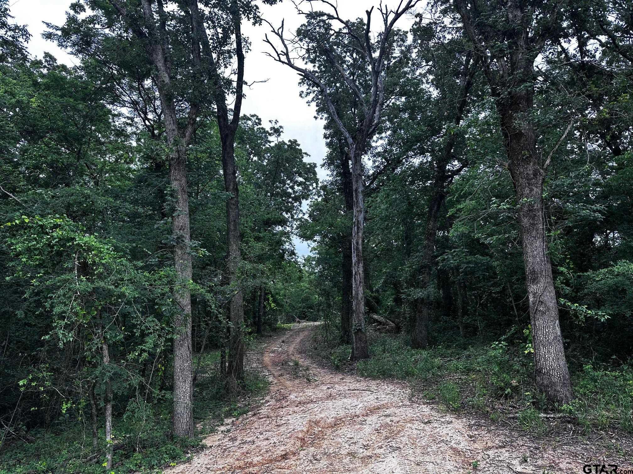 TRACT C 337 PRIVATE ROAD 8507