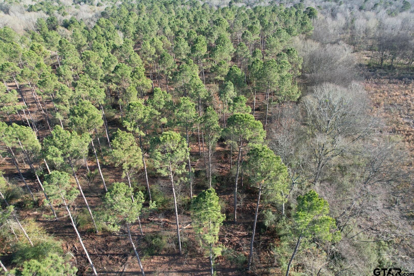 TBD-A County Road 216