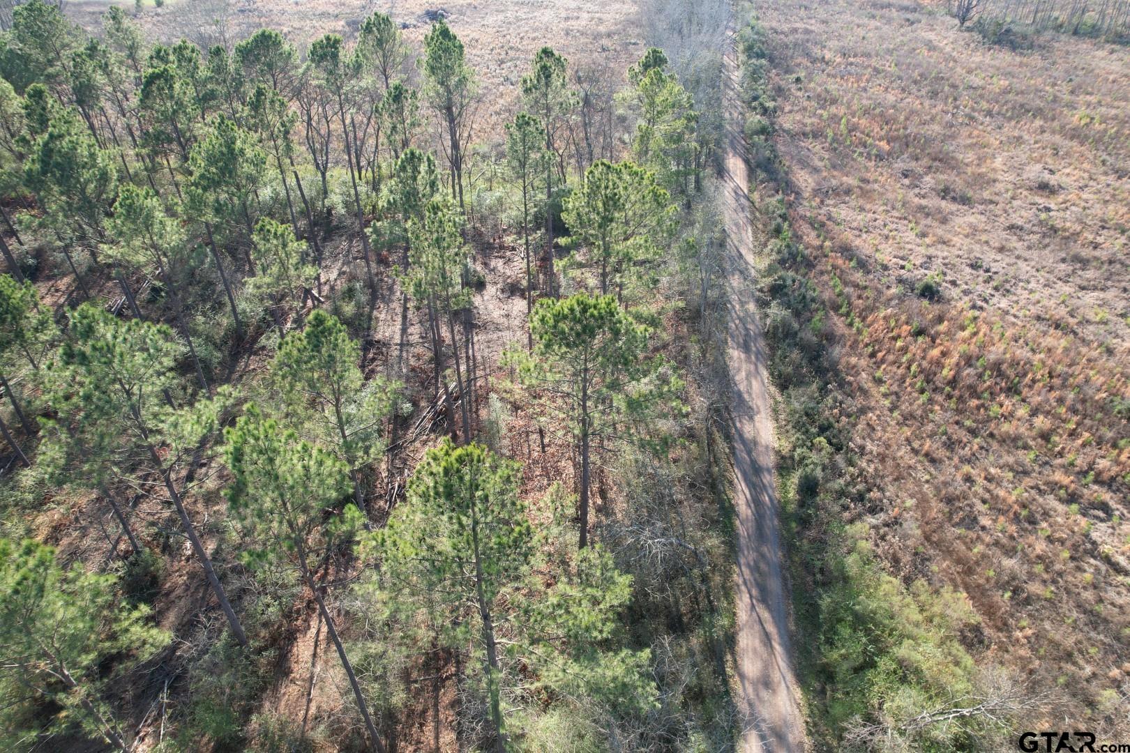 TBD-A County Road 216