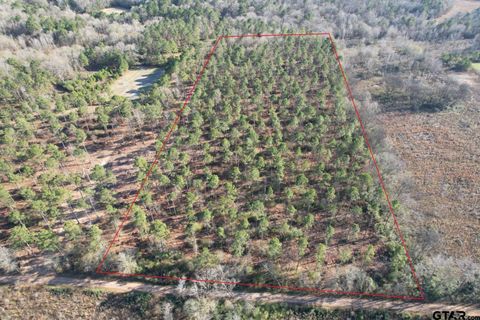 TBD-A County Road 216 Beckville TX 75631