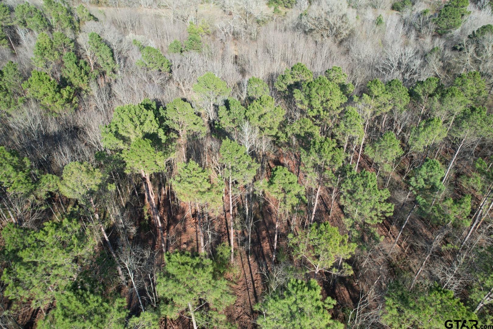 TBD-A County Road 216