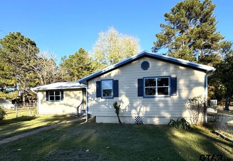 A home in Mt Enterprise