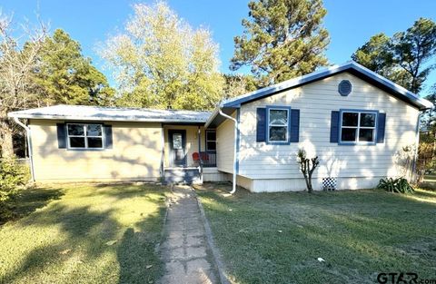 A home in Mt Enterprise