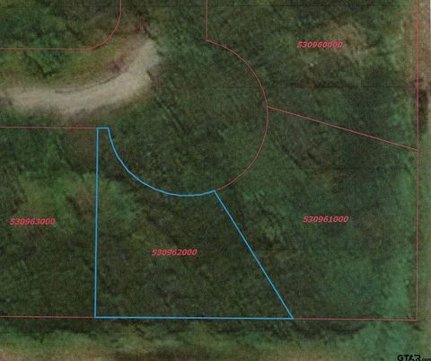 877 Caroline Bend Bullard TX 75757