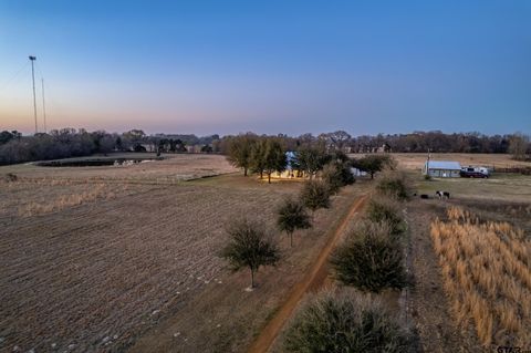 6751 CR 4710 LaRue TX 75770