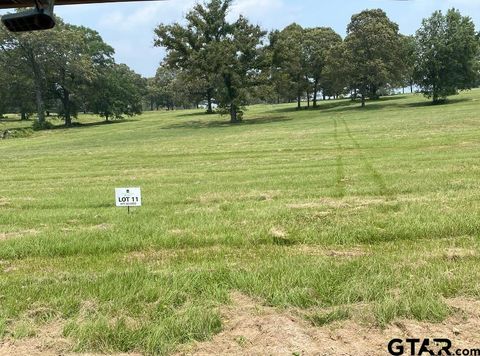 LOT 11 TBD Private Road 3398 Big Sandy TX 75755