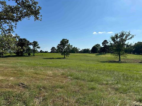 21070 CR 2207 (Whispering Pines) Arp TX 75750
