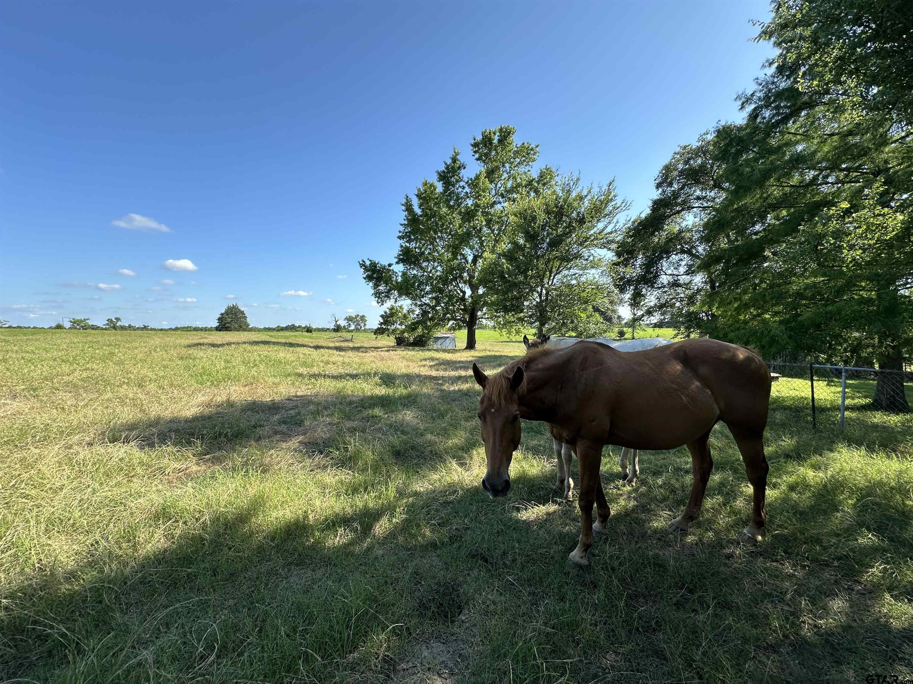 21070 CR 2207 (Whispering Pines)