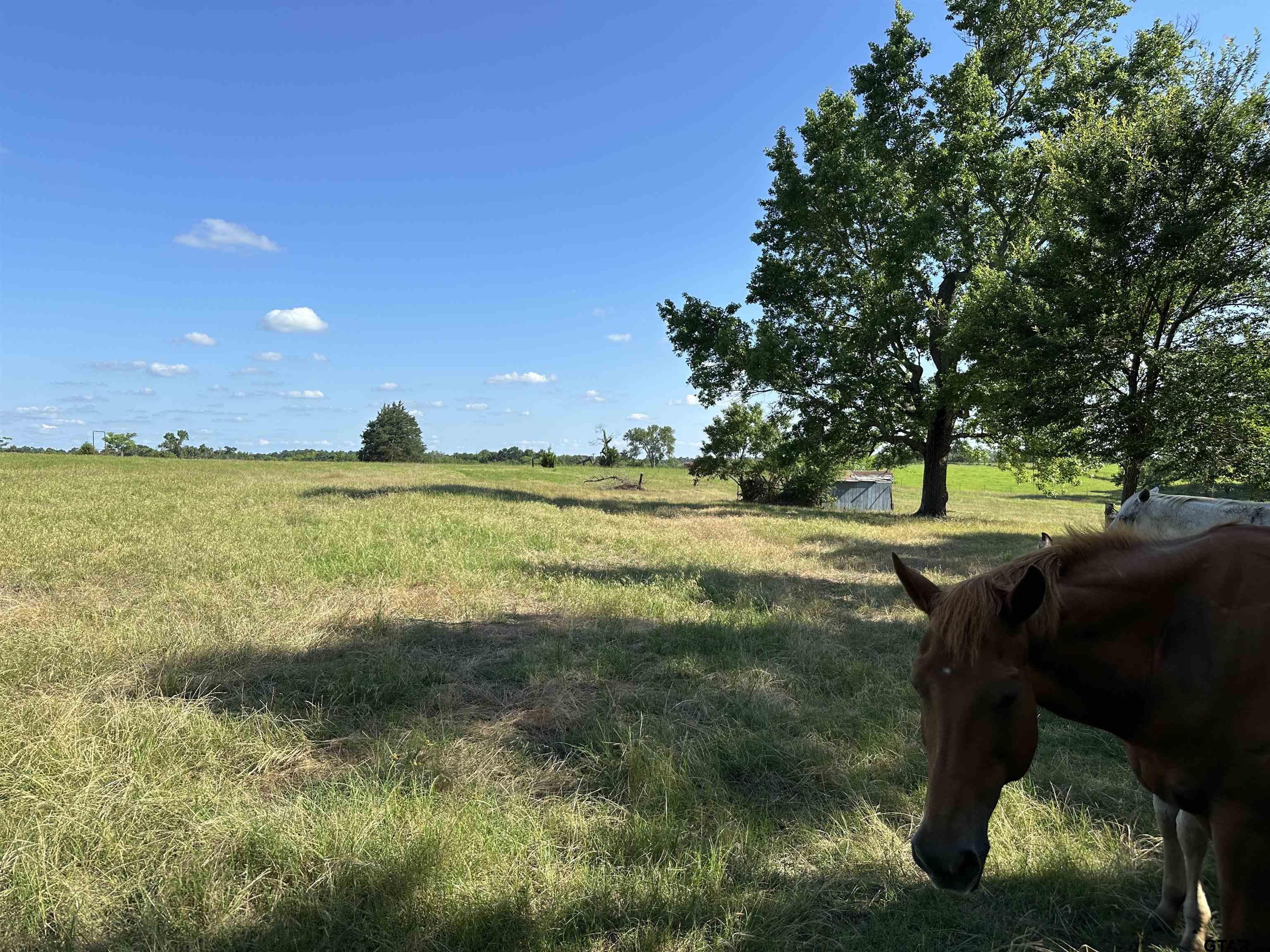 21070 CR 2207 (Whispering Pines)