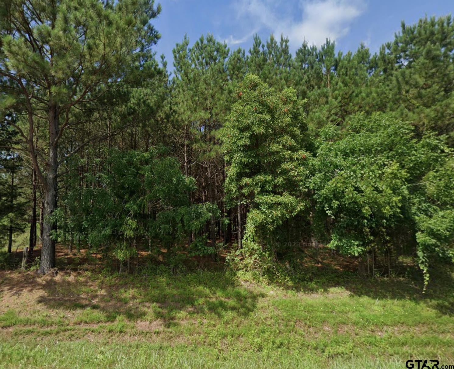 TBD Redbud DR