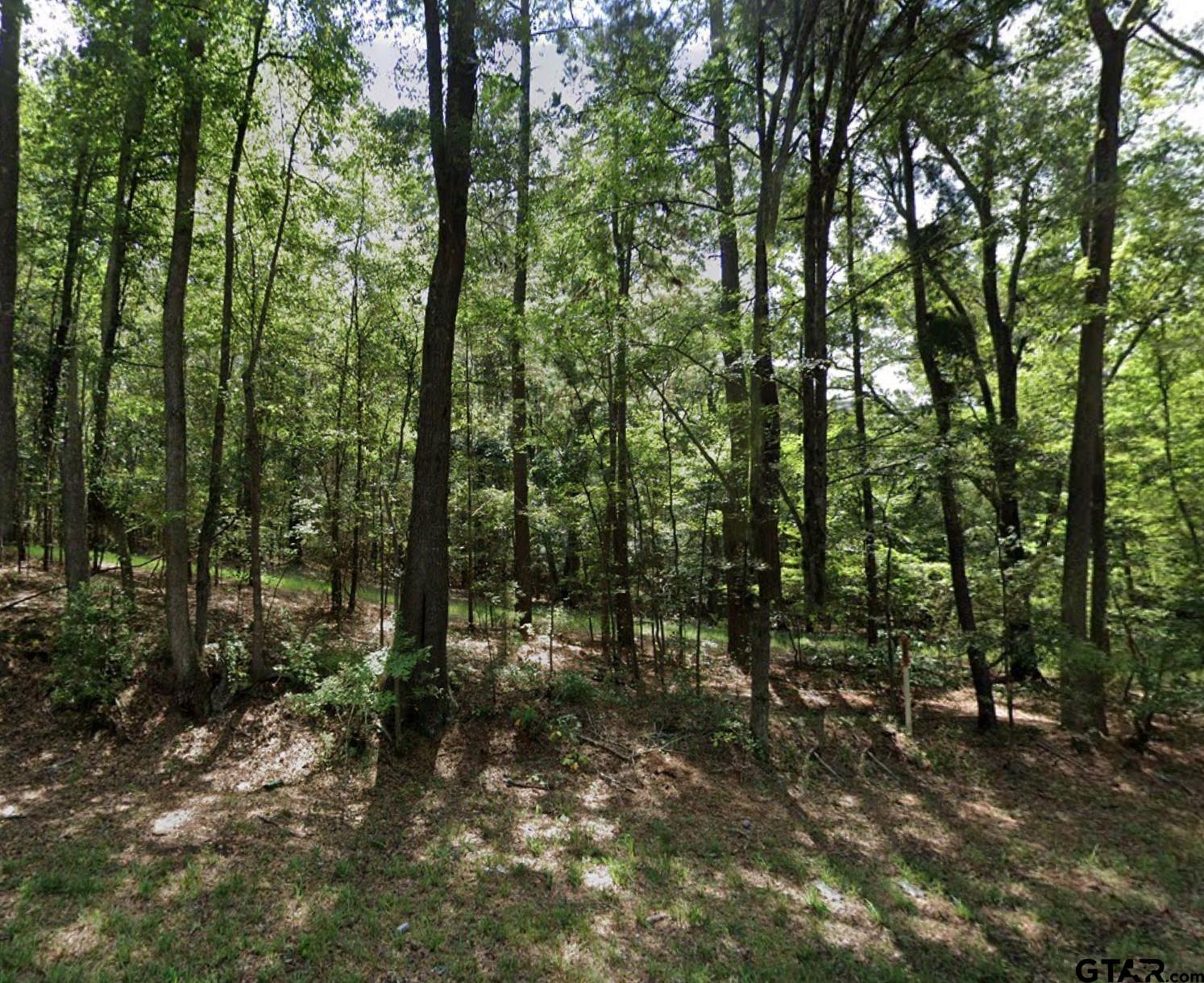 TBD Redbud DR