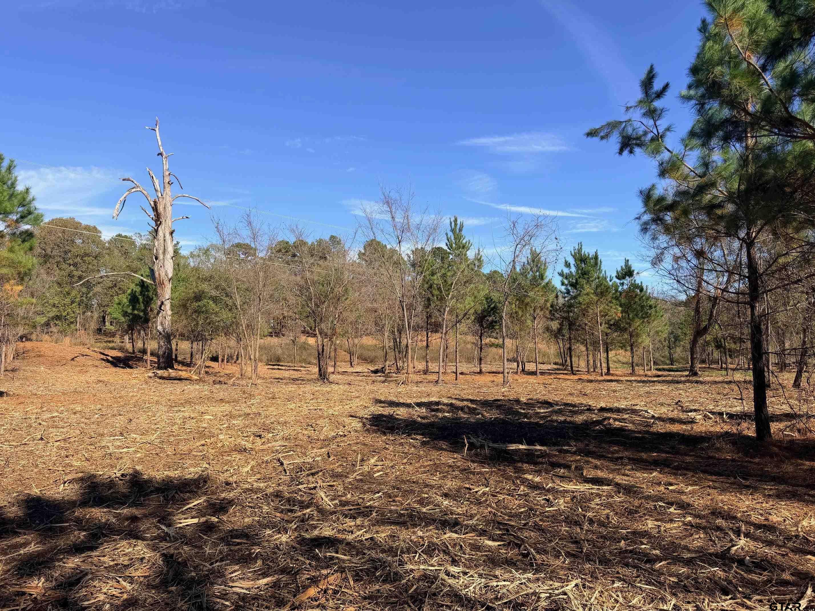 10719 Portside Circle